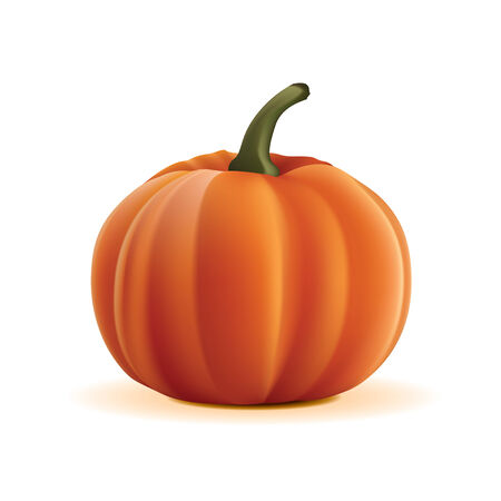Pumpkin Isolated on White Background. のイラスト素材