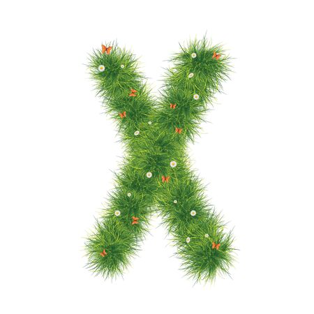 Grass Alphabet A-Zの写真素材