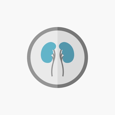 Kidneys. Medical Flat Icon. Vector Pictogram.