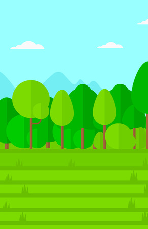 Background of green lawn with trees vector flat design illustration. Vertical layout.のイラスト素材