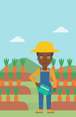 An african-american woman holding a watering can on the background of carrots growing on field vector flat design illustration. Vertical layout.のイラスト素材