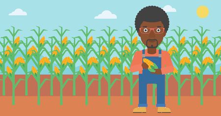 An african-american man holding a corn cob on the background of field vector flat design illustration. Horizontal layout.のイラスト素材