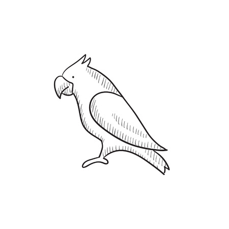 Parrot vector sketch icon isolated on background. Hand drawn Parrot icon. Parrot sketch icon for infographic, website or app.のイラスト素材