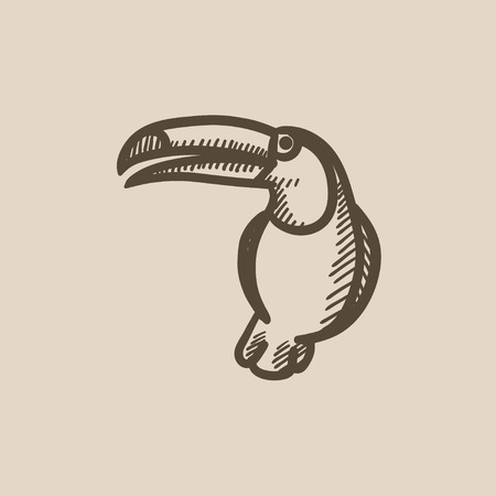 Toucan vector sketch icon isolated on background. Hand drawn Toucan icon. Toucan sketch icon for infographic, website or app.のイラスト素材