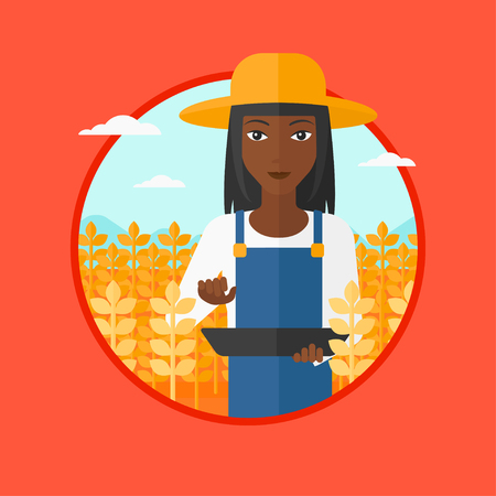 An african-american farmer in summer hat checking plants in a wheat field. Female farmer working on a digital tablet in field. Vector flat design illustration in the circle isolated on background.のイラスト素材
