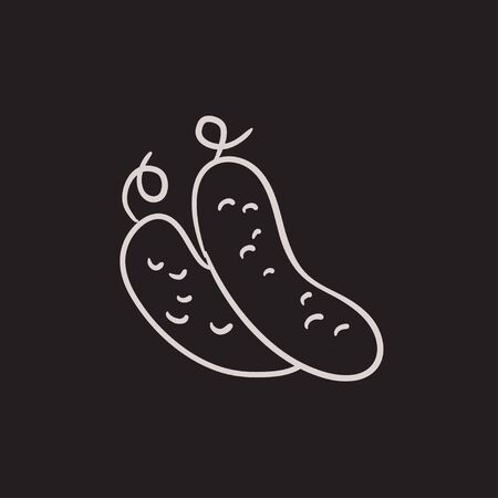 Cucumber vector sketch icon isolated on background. Hand drawn Cucumber icon. Cucumber sketch icon for infographic, website or app.のイラスト素材