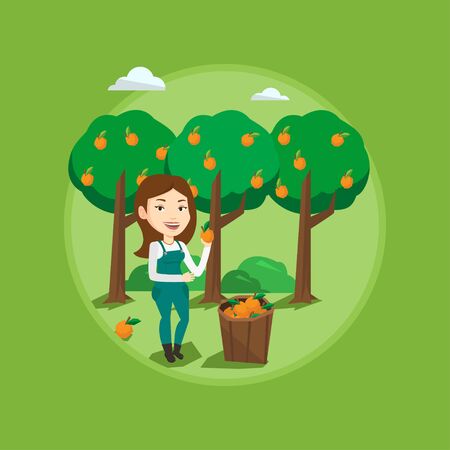 Gardener holding an orange on background of orange trees. Gardener collecting oranges. Gardener standing near basket with oranges. Vector flat design illustration in the circle isolated on background.のイラスト素材