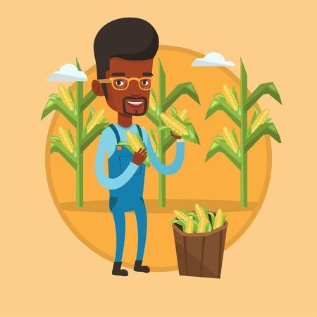 Farmer collecting corn vector illustration.のイラスト素材