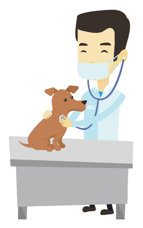 Young asian veterinarian examining dog in hospital. Veterinarian checking heartbeat of dog with stethoscope. Medicine and pet care concept. Vector flat design illustration isolated on white backgroundのイラスト素材
