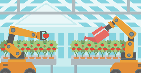 Robot picking tomatoes in greenhouse. Robot working in a greenhouse. Robot harvesting tomatoes in greenhouse. Robot watering tomatoes in greenhouse. Vector flat design illustration. Horizontal layout.のイラスト素材