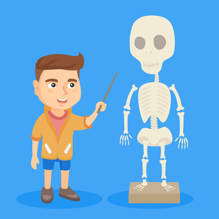 Little caucasian schoolboy studying the human skeleton. Schoolboy pointing at the model of skeleton with a pointer at biology and anatomy lessons. Vector sketch cartoon illustration. Square layout.のイラスト素材