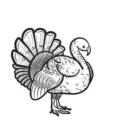 Thanksgiving day turkey sketch doodle icon  isolated on white background.のイラスト素材