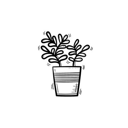 Decorative potted house plant - ficus sketch icon for web, mobile and infographics. Hand drawn ficus vector icon isolated on white background.のイラスト素材