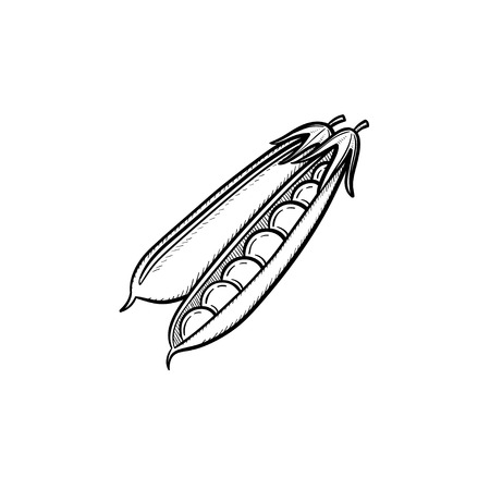 Vector hand drawn peapod outline doodle icon. Food sketch illustration for print, web, mobile and infographics isolated on white background.のイラスト素材