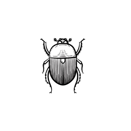 A Vector hand drawn colorado potato beetle outline doodle icon.のイラスト素材
