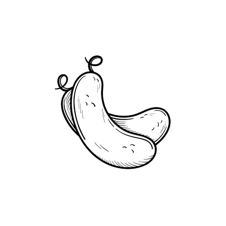 Vector hand drawn cucumber outline doodle icon. Food sketch illustration for print, web, mobile and infographics isolated on white background.のイラスト素材