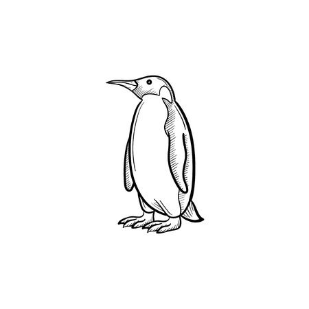 Vector hand drawn Penguin outline doodle icon. Penguin sketch illustration for print, web, mobile and infographics isolated on white background.のイラスト素材