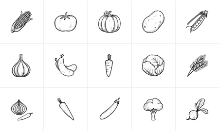 Agriculture food sketch icon set for web, mobile and infographics. Hand drawn Agriculture food vector icon set isolated on white background.のイラスト素材
