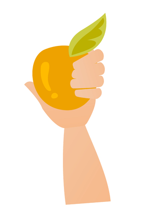 Hand holding an orange apple vector cartoon illustration isolated on white background.のイラスト素材