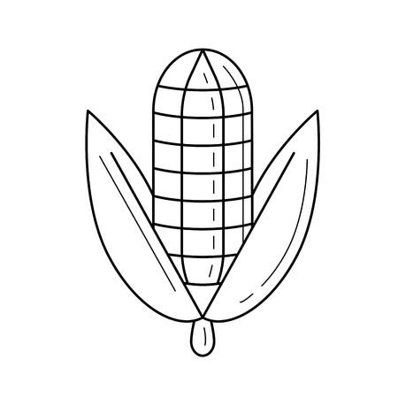 Corn cob line icon isolated on white background. Ears of sweet corn vector illustration for infographic, website or app.のイラスト素材