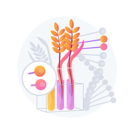 Genetically modified plants abstract concept vector illustration.のイラスト素材