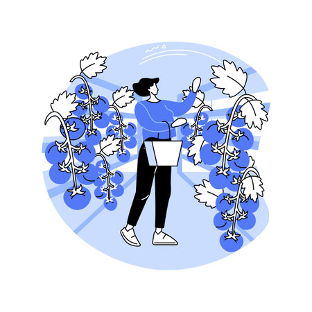 Tomato greenhouse isolated cartoon vector illustrations.のイラスト素材