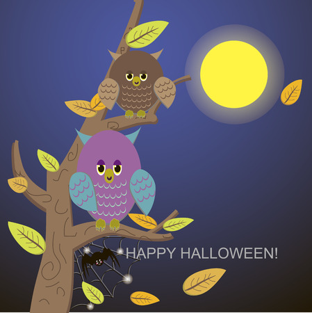 Spiders in the web tree and owlのイラスト素材