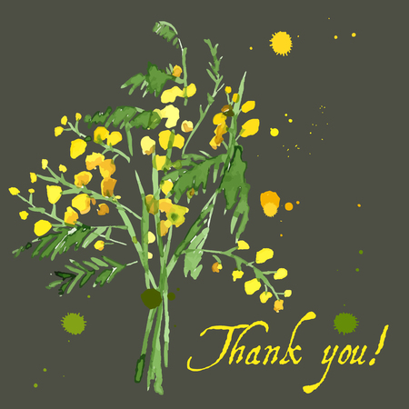 Hand-Drawn Mimosa, Painted in Watercolor. Vector Illustrationのイラスト素材