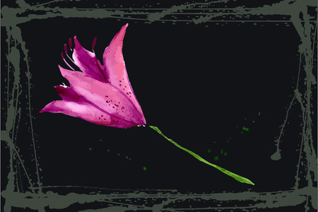 Lily vector illustration hand drawn painted watercolorのイラスト素材
