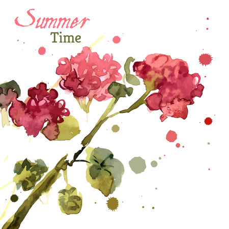 Watercolor blooming geranium on a white backgroundのイラスト素材