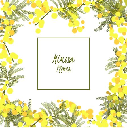 Floral retro vintage background, vector illustration, mimosaのイラスト素材