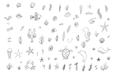 The underwater world Hand painted collectionのイラスト素材