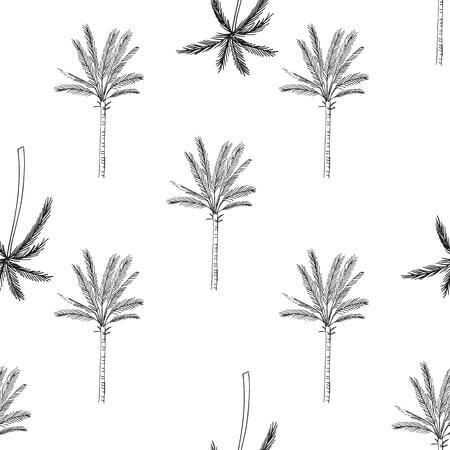 Hand drawn seamless pattern with palm trees, isolated on white background.のイラスト素材