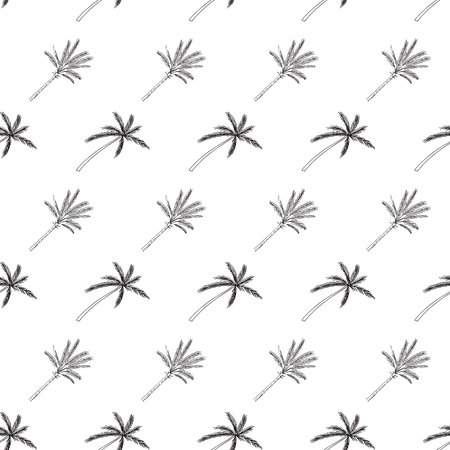 Hand-drawn pattern with palm trees, isolated on white.のイラスト素材