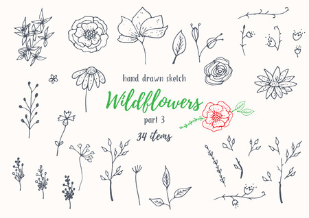 Vector Collection Of Hand Drawn Sketches With Plantsのイラスト素材