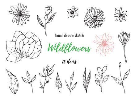Vector Collection Of Hand Drawn Sketches With Plants. Botanical Set Monochrome Image Of Wild Of Sketch Flowers And Branches. Black And White Elements For Coloring.のイラスト素材