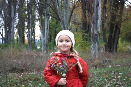 A little girl is gathering wild flowers   の写真素材