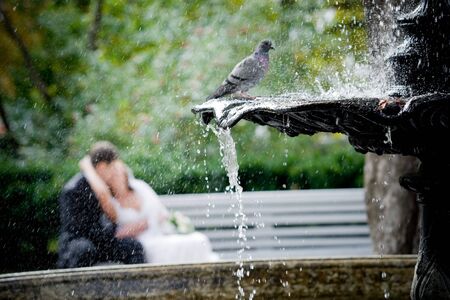 On the image there is fountain, pigeon,  man and woman.の写真素材