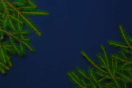 Christmas, New year, winter frame with fresh fir tree branches on dark blue background. Holiday concept. Flat lay, top view with copy spaceの写真素材