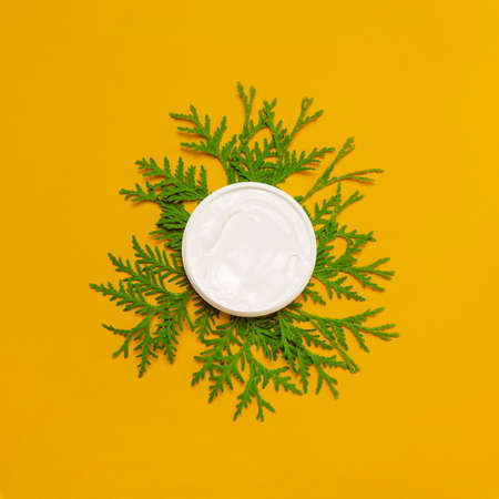 White jar, bottle of cream or body lotion on green fir tree branches on yellow background. Organic...