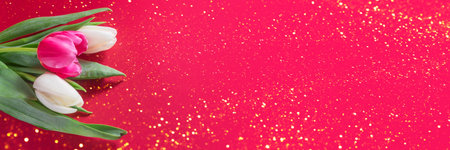 Pink and white tulips flower on red background with golden lights. Romantic banner for womens day,...