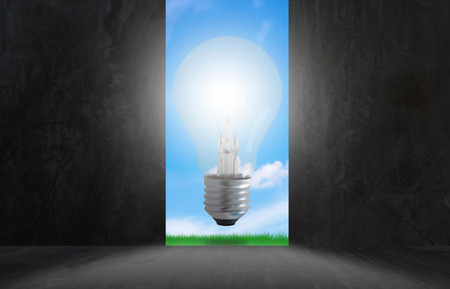 Business success concept, growth and achievement, light bulb on the door