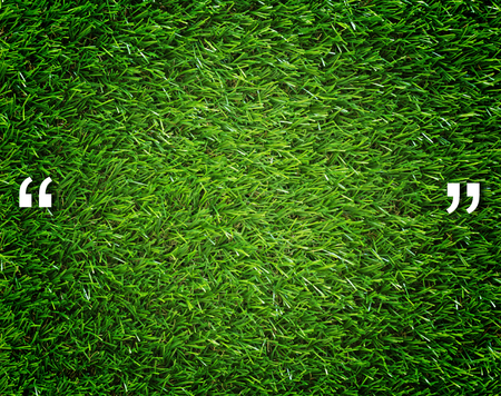 Quotation mark and copy space on green grass background, communication conceptの写真素材