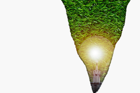 Ecology concept, save energy, torn white paper and light bulb on green grass backgroundの写真素材