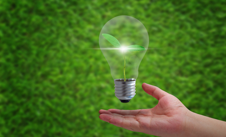Business growth concept, light bulb and hand on green background, financial increase market profit, nature and ecologyの写真素材