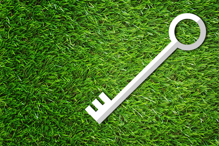 Business success concept, growth and achievement, key on green grass background, nature and ecologyの写真素材