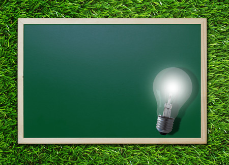 Knowledge management, education concept, light bulb and chalkboard on green grass backgroundの写真素材