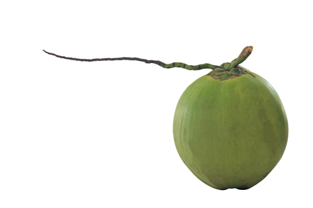 Isolate green coconut on white backgroundの写真素材
