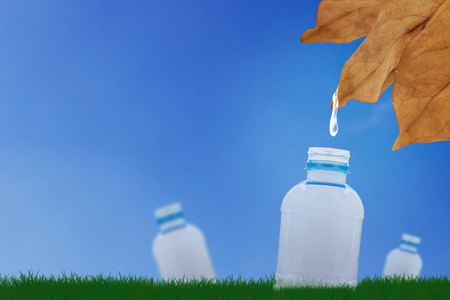 Save water concept, world water day, dry leaf and plastic bottle on green grass backgroundの写真素材