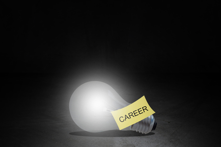 Career path concept, human resource management,  job promotion, idea to successの写真素材